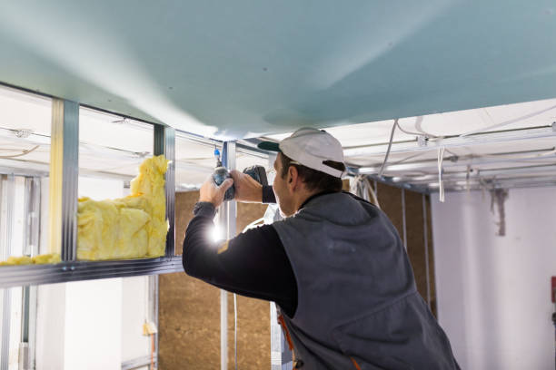 Best Crawl Space Insulation  in Grandwood Park, IL
