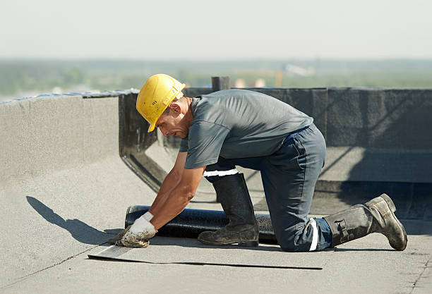 Best Residential Insulation Services  in Grandwood Park, IL